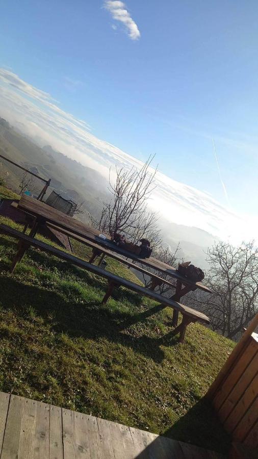 Turisticna Kmetija Golej Apartment Podcetrtek Bagian luar foto